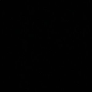 Meet your Posher, Gaby